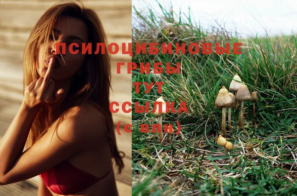 МДМА Беломорск