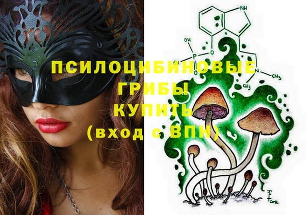 твердый Белокуриха