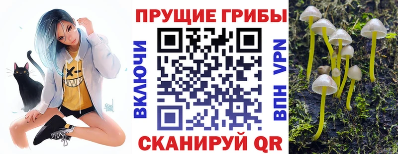 Псилоцибиновые грибы мухоморы  Купить где  Дмитровск 